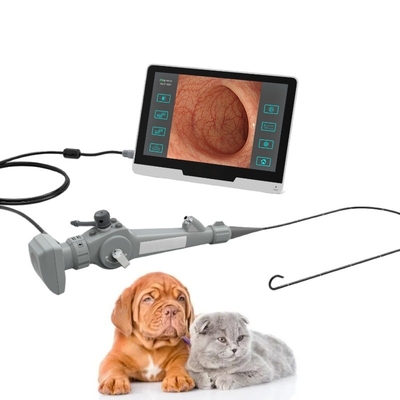 Endoscope visuel flexible portatif pour le Cystoscopy animal Bronchscopy