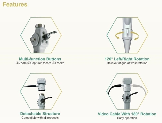 Endoscope visuel flexible portatif pour le Cystoscopy animal Bronchscopy